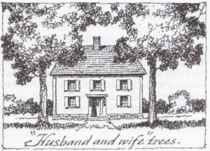 husband and wife trees